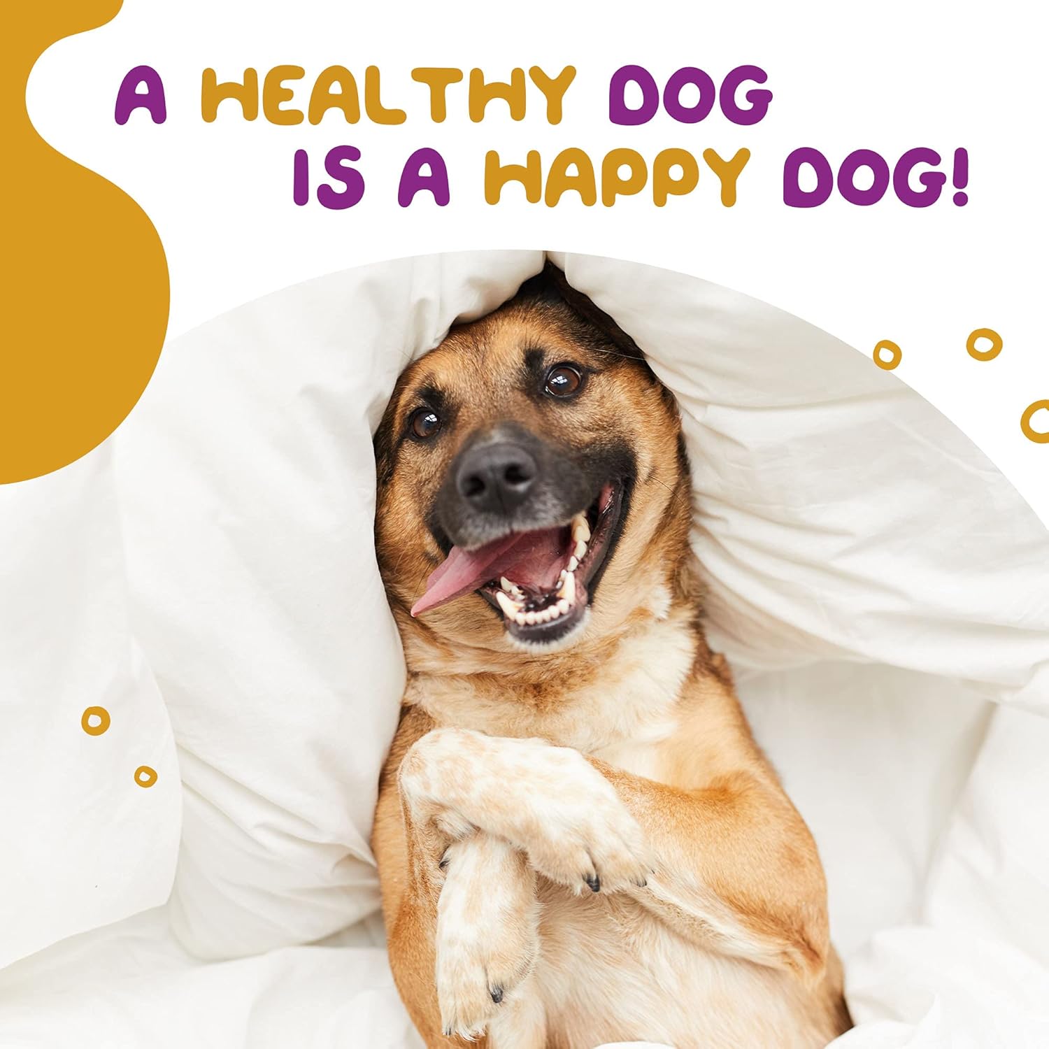 Healthy Dog World Allergy Immune Supplement for Dogs- Kelp, Colostrum, Bee Pollen- Seasonal Allergies, Food Allergy - Anti Itch, Vegetable Flavor, 120ct. : Pet Supplies