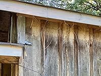 Review Image by Mrs. Mrs.