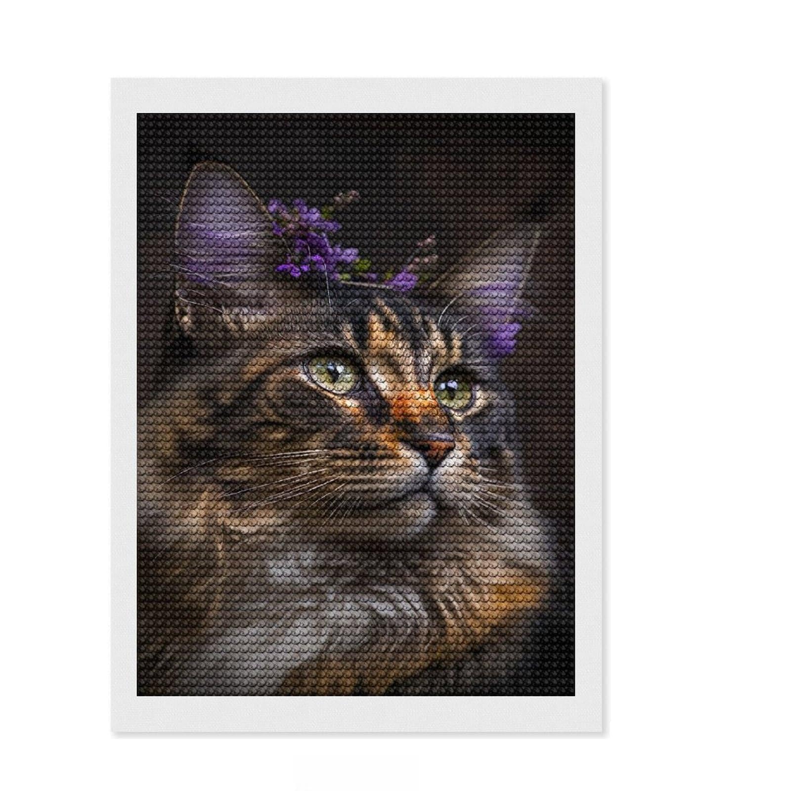 Junmoney Maine Coon Diamond Art Canvas 12"x16", for Creative Relaxation, Easy Handmade Project, Office Decor, Christmas Gift