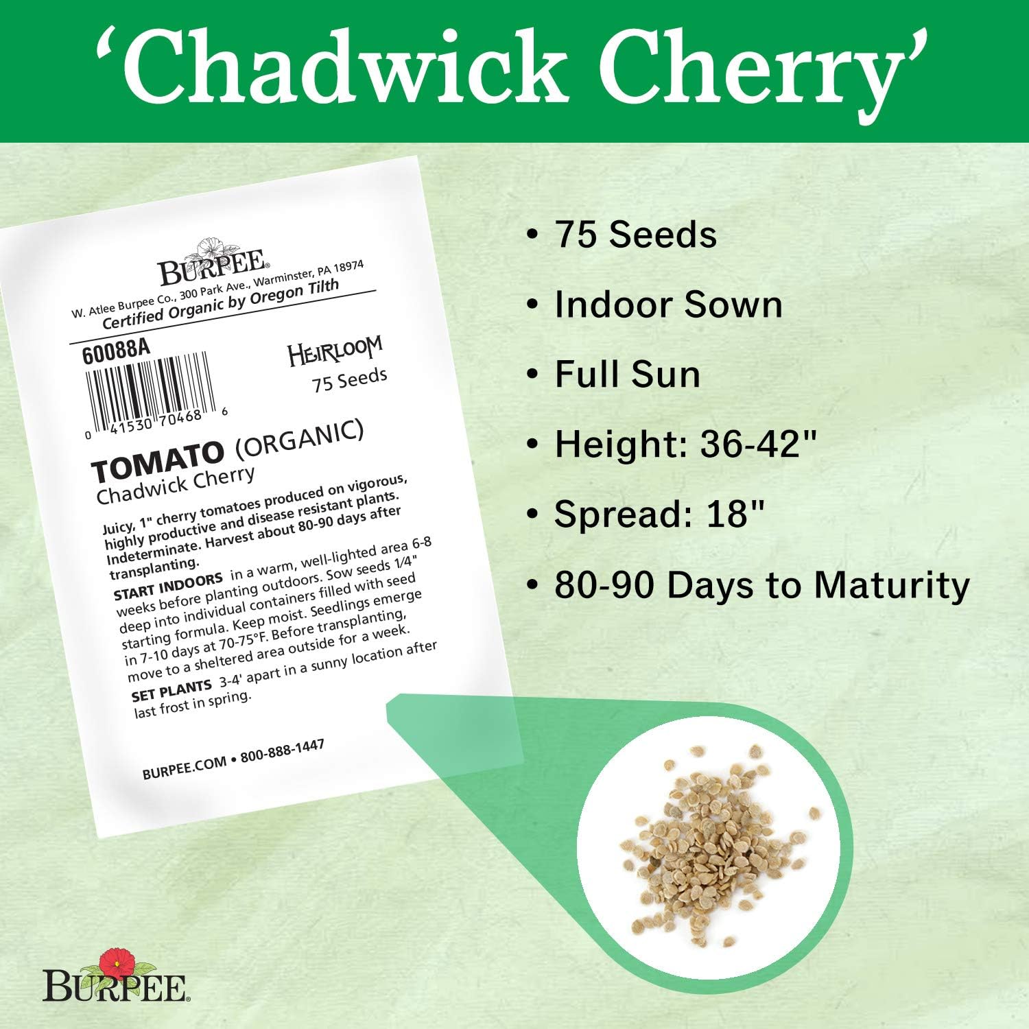 Burpee ' Chadwick Cherry' Organic | Red Cherry Tomato | 75 Seeds