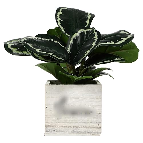 Artificial Eucalyptus Leaves Bonsai with Wood Square Pot, Simulation Green