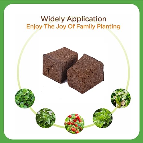 Miniatura 6 de 50 paquetes de esponjas de cultivo de corte, esponja de crecimiento de raíces ecológica, equilibrio de pH ecológico, pieza de repuesto de esponja