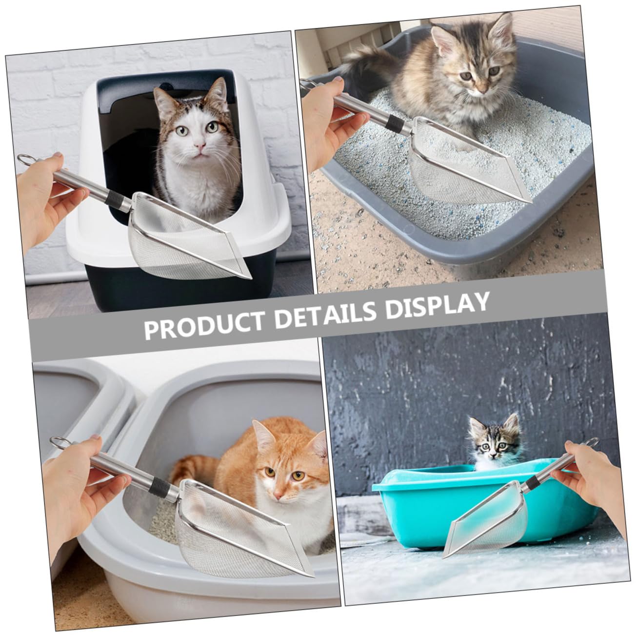 WOONEKY Reptile Litter Scoop De Inoxidable para Reptiles para Tortugas Diseño Filtrado para Limpieza