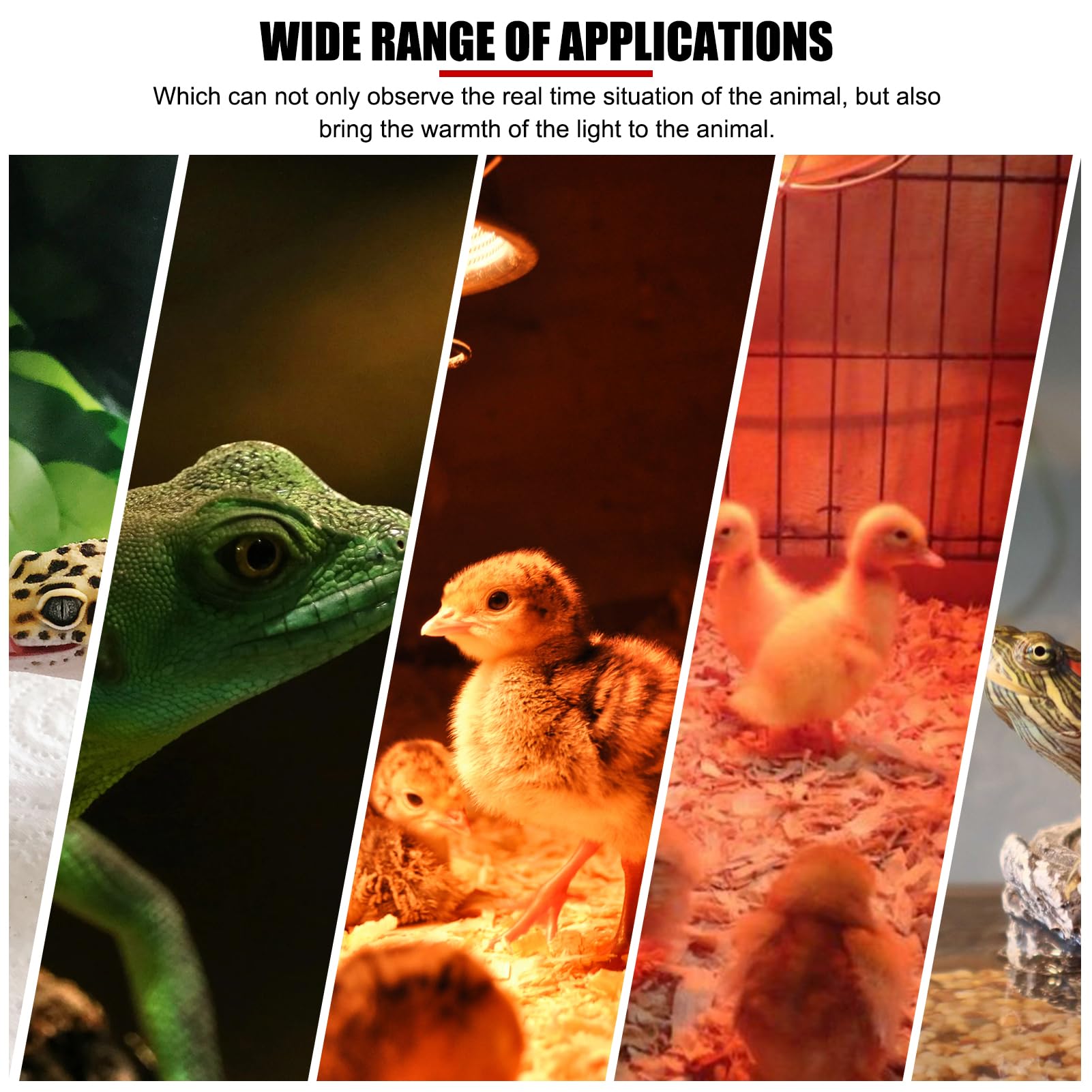 E27 300W Lámpara de calefacción para gallinero con control de temperatura LCD, ajustable 28-35℃, luz cálida y ventilación para aves de corral, patos, gansos, reptiles y animales pequeños