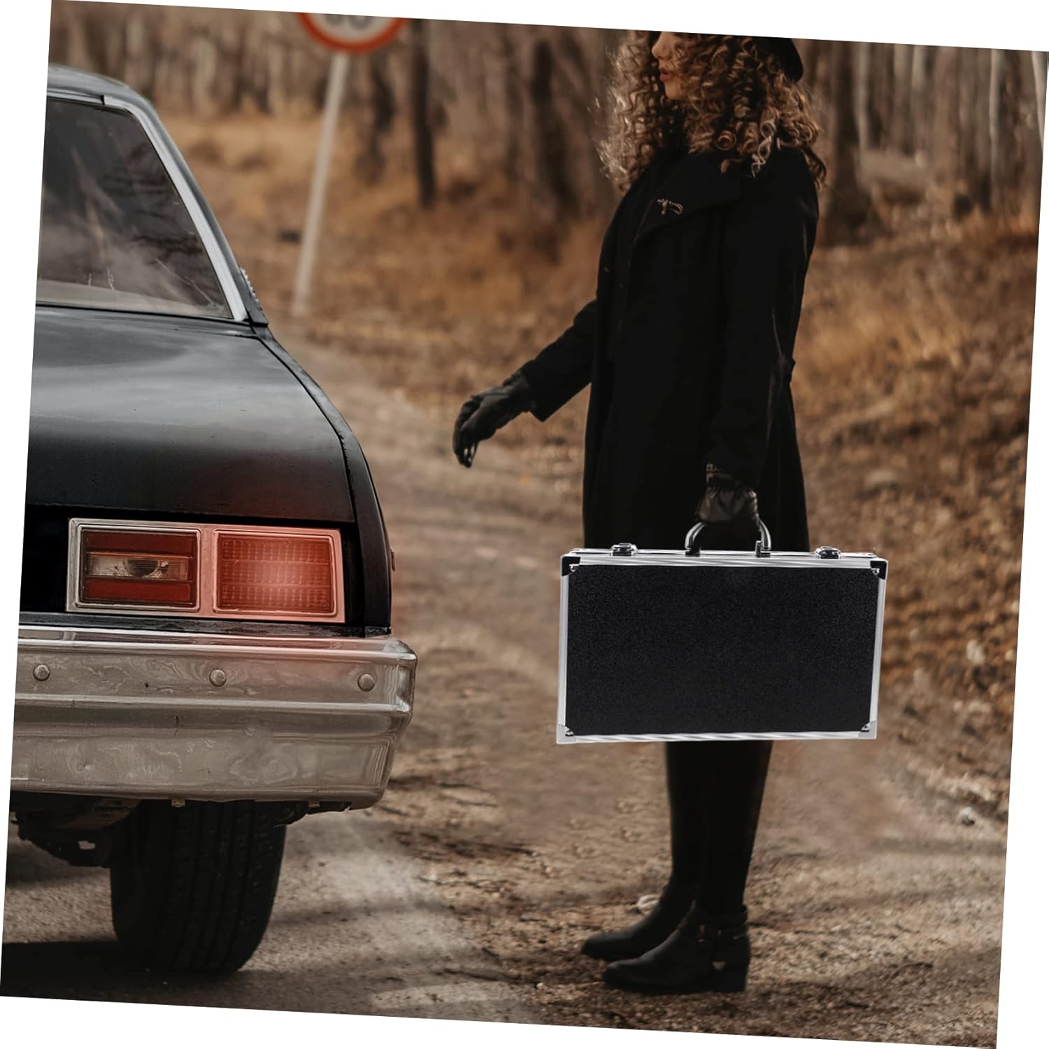 Mic Carrying Box for Microphone Holder Pack Portable Mic Case Organized Storage for Singing Minimalist Style