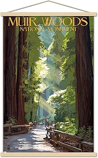 Trends International Lantern Press - Muir Woods National Monument, California, Pathway Wall Poster, 22.37" x 34.00", Premium Print and Beechwood Hanger Bundle