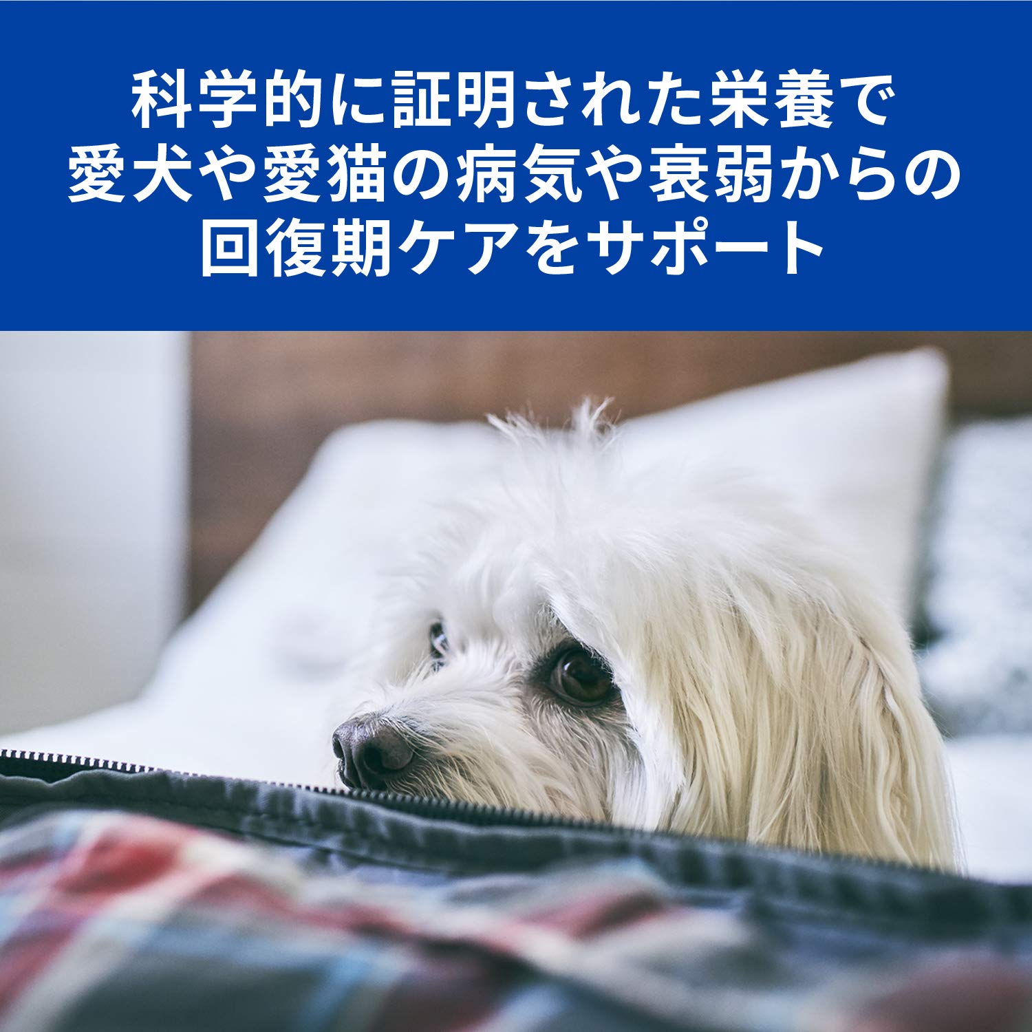 プリスクリプション・ダイエット a/d エーディー チキン 療法食