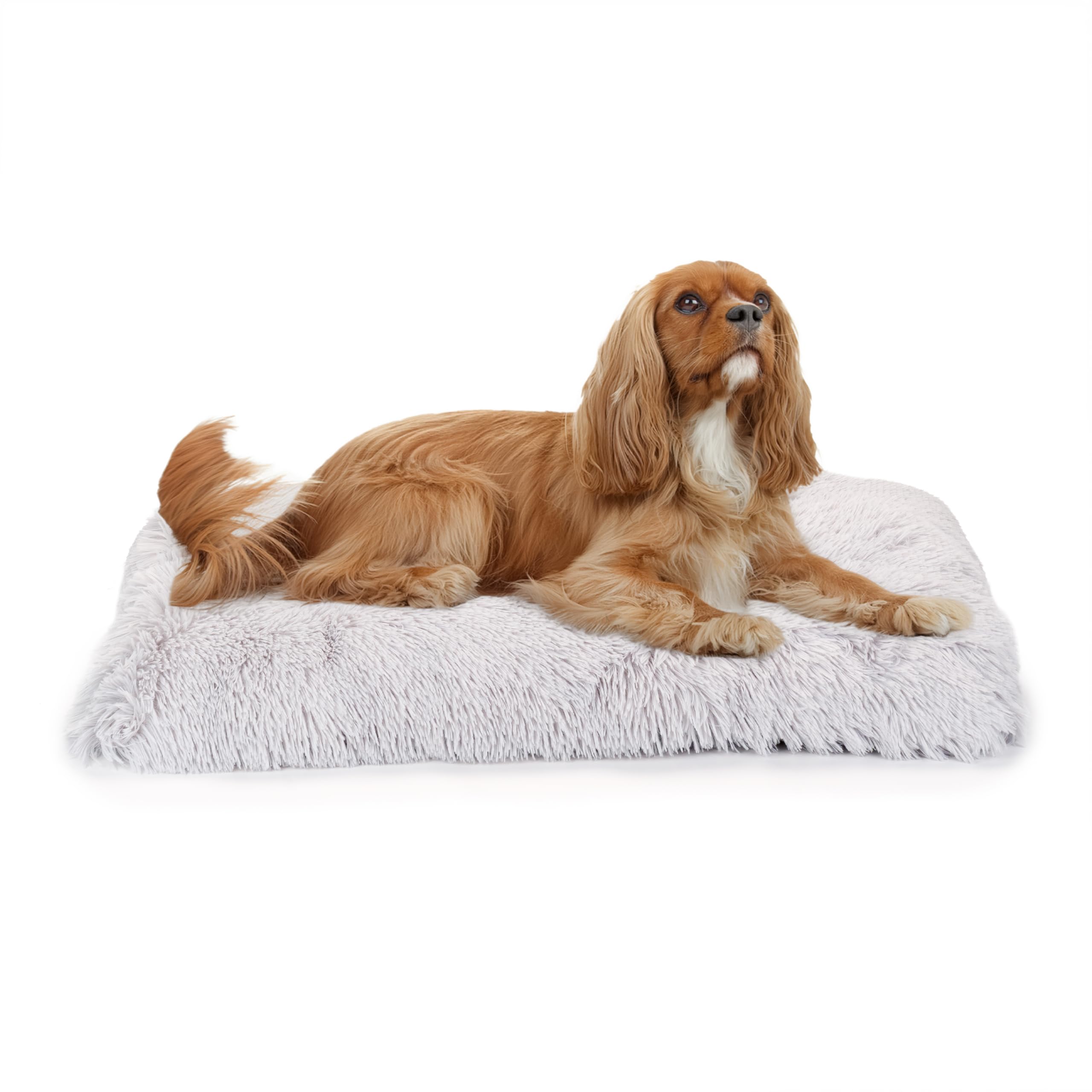 Coussin pour chiens doux en poils longs et chaud avec panier super rembourré Ferplast