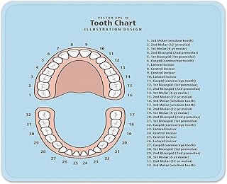 Mouse Pads Pink Education Tooth Chart Number Infographic Blue Dental Human Anatomy Mousepad 9.5 X 7.9 for Laptop, Desktop Computers Accessories Mini Office Supplies Mouse Mats, style-10