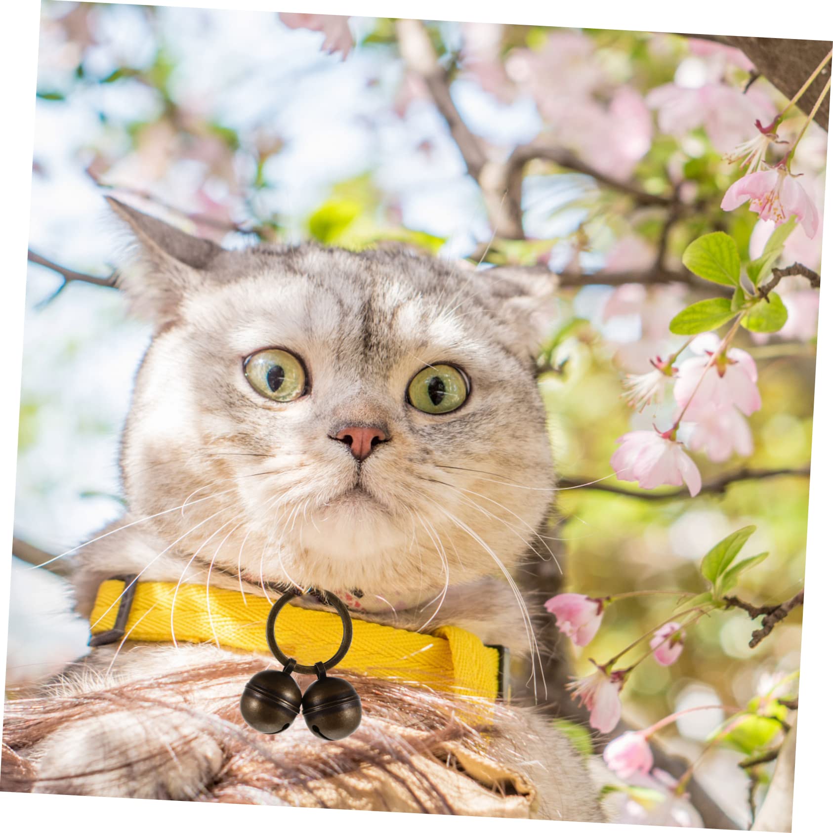 Hemoton 2 Sets Dog Collar Bells Cat Bells Loud Pet Pendant Accessories Diy Decorative