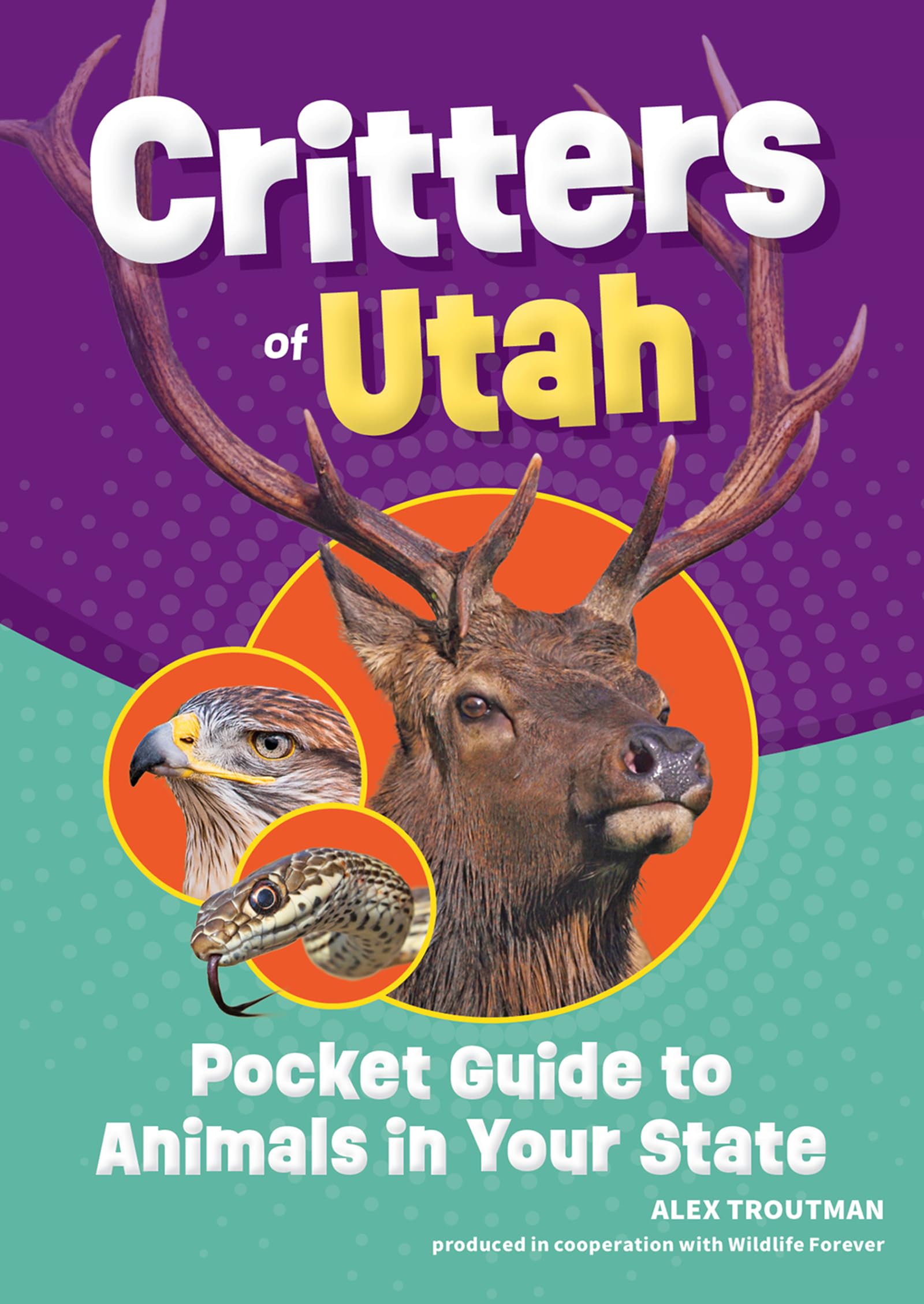 Critters of Utah: Pocket Guide to Animals in Your State (Wildlife Pocket Guides for Kids)