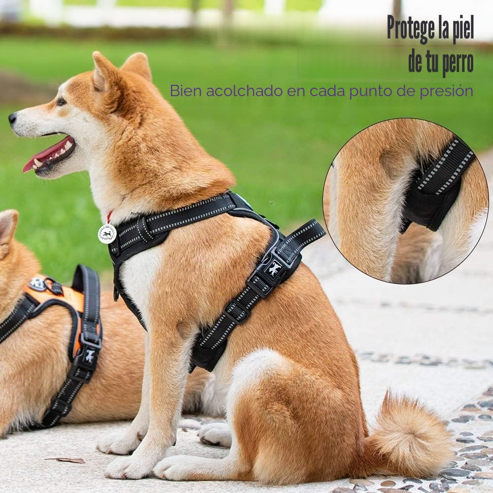 PoyPet Arnés reflectante para perros No Pull, Pechera para Perro con 2 fijaciones para la correa y asa de control fácil para perros pequeños y medianos (negro, L)