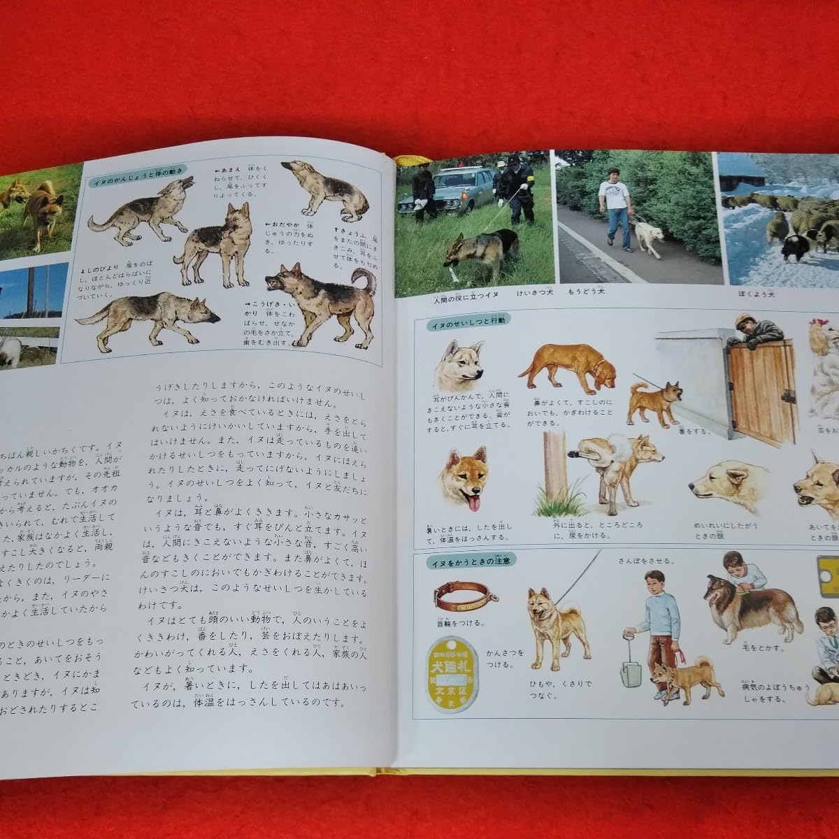 Amazon | h-229 TPU方式学習百科図鑑-7 どうぶつ1 昭和56年9月1