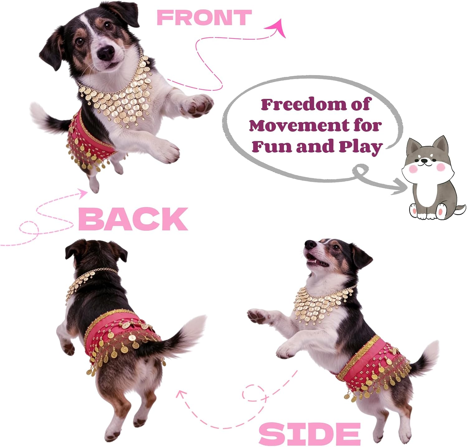 Dog Belly Dancer Costume, Golden and Rose Red