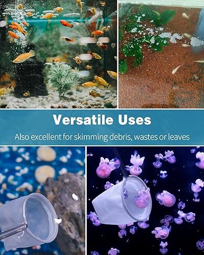 Miniatura 7 de Pawfly Red de acuario - Red de camarones y peces de bebé de 2 pulgadas con mango extensible de acero inoxidable para tanques pequeños y estanques