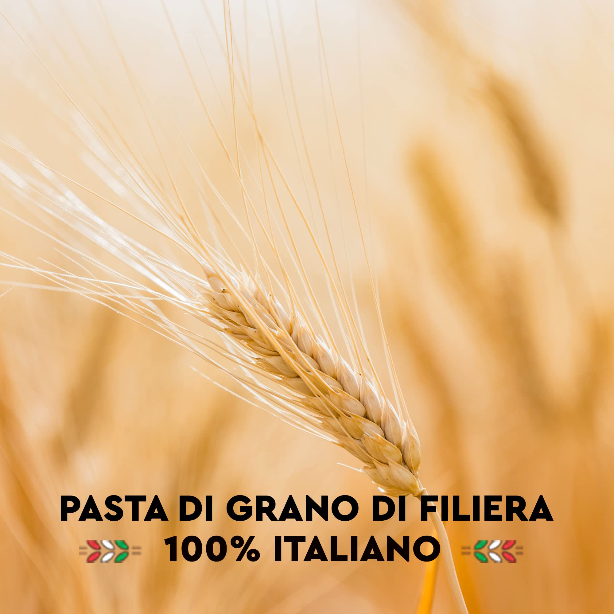 ARMANDO Gli Orzi, Pastina di Semola di Grano Duro di Filiera 100% Italiano - 20 confezioni da 400 gr