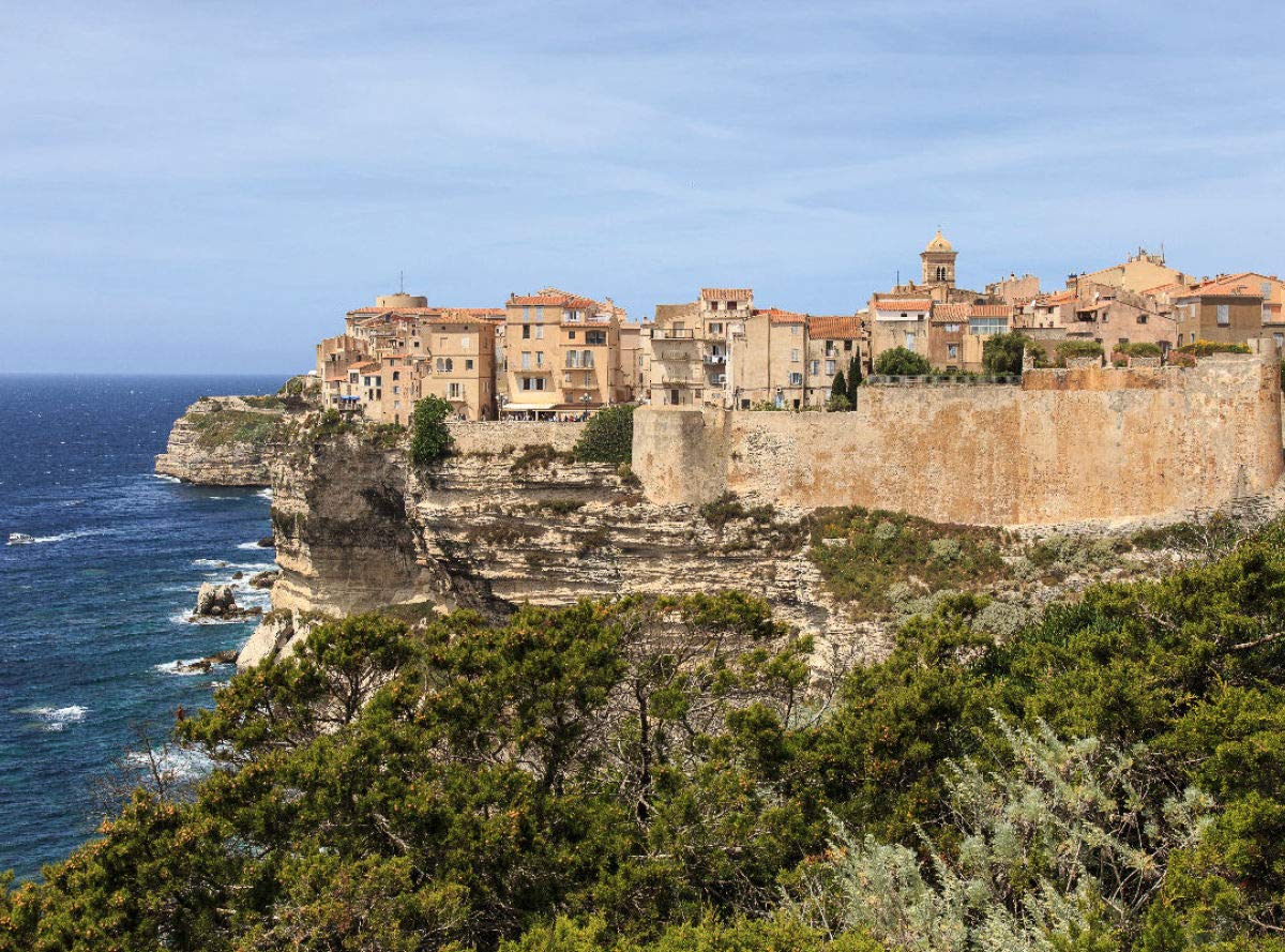 SP1 Chain Tensioner - SM-03361