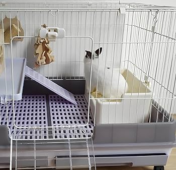 Amazon | うさぎ トイレ 大きい 飼育ケージに内装 アクセサリー