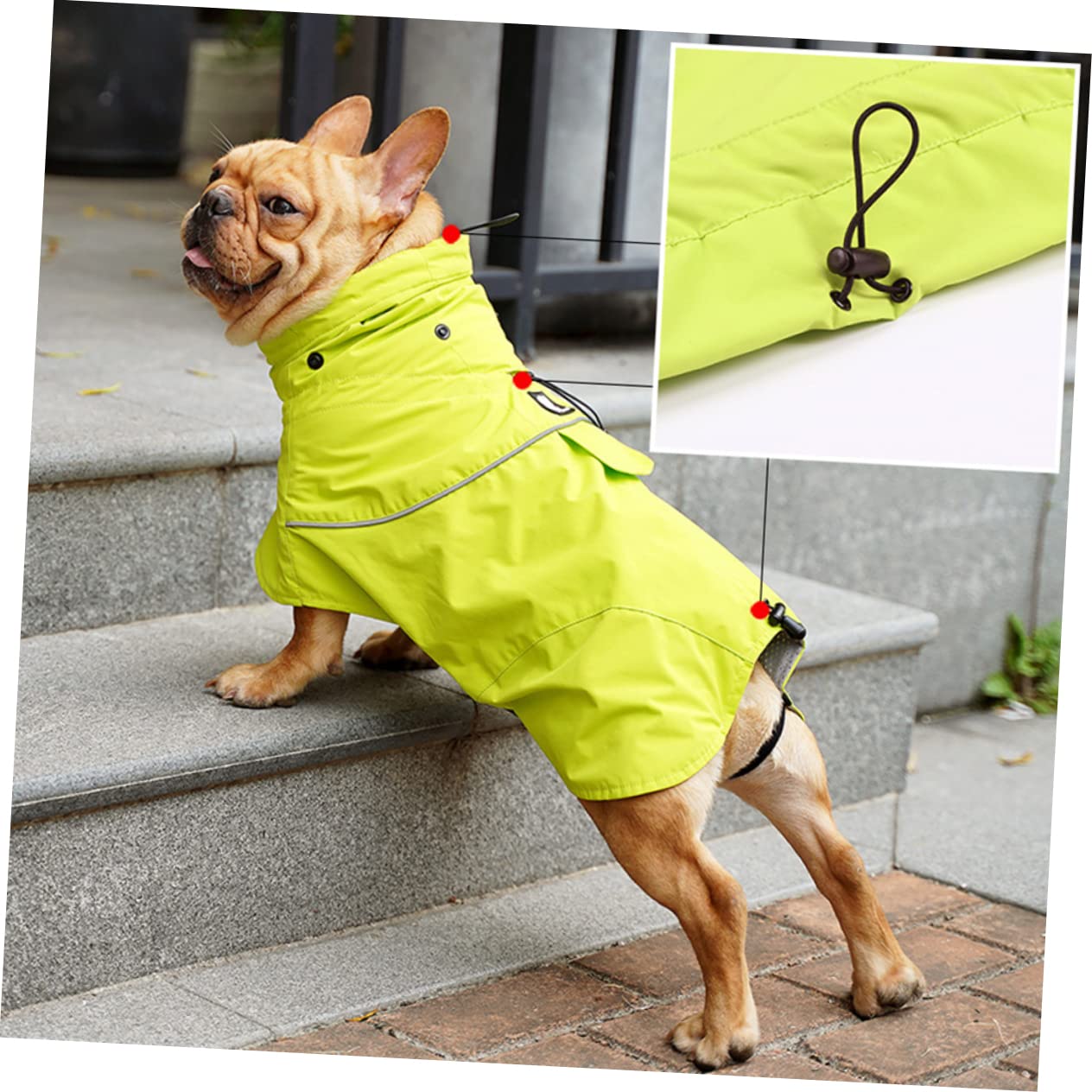 Manteaux de Pluie imperméables pour Chien, imperméable pour Chien, 2 pièces Dealspet Supplies Poncho pour Chien, Coupe-Pluie, Elizabeth Circle, col Haut, Veste