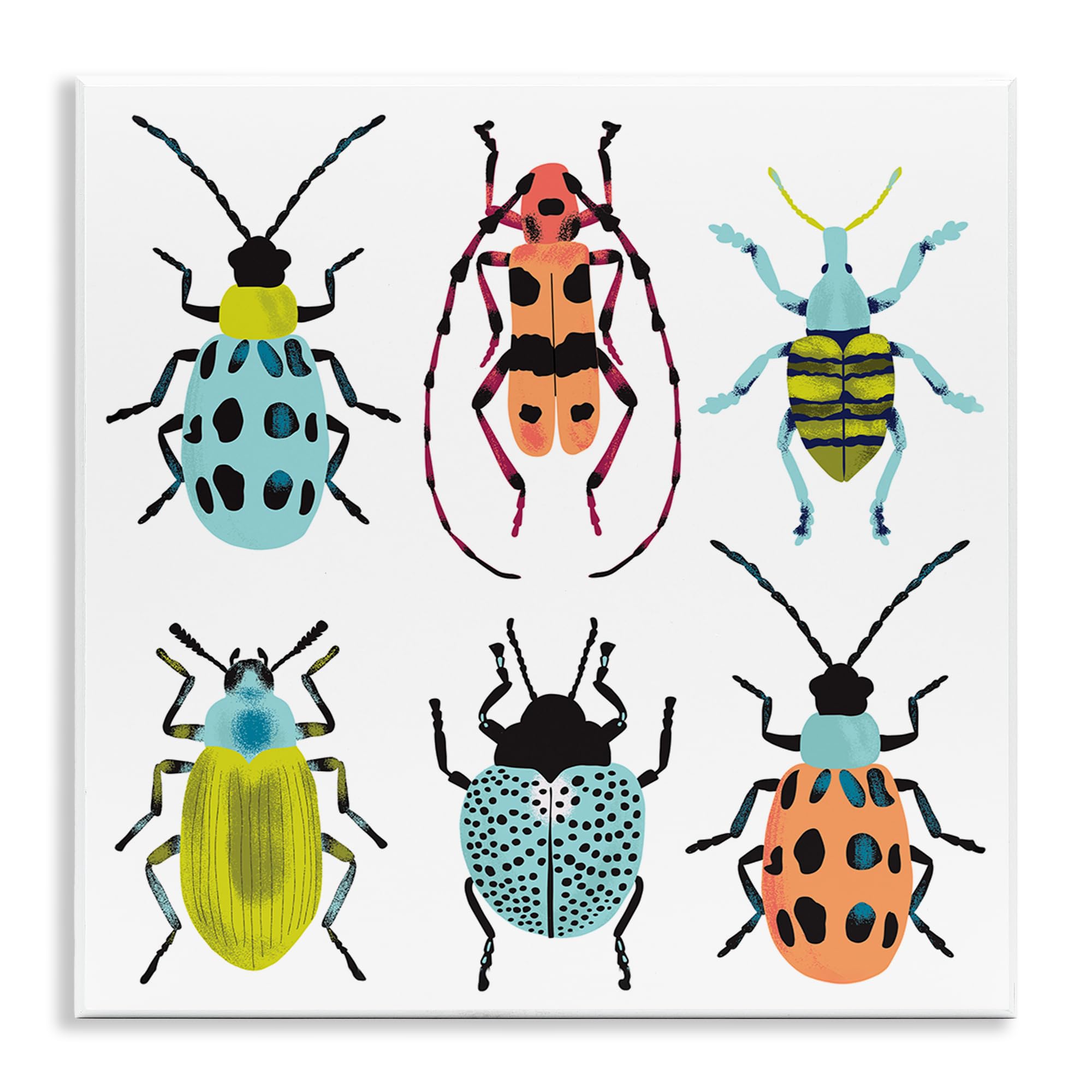 'Beetles & Bugs Collection'| Wall Plaque Art