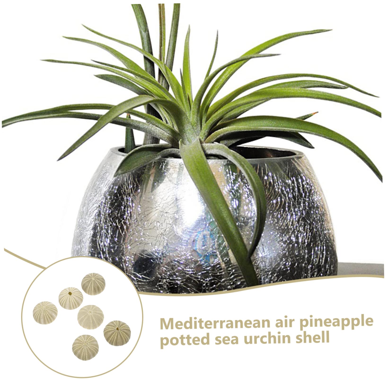OUNONA 4 Ensembles Pots À Plantes Aériennes Décorations pour Aquarium Et Plantes Naturelles 6 Pièces * 4
