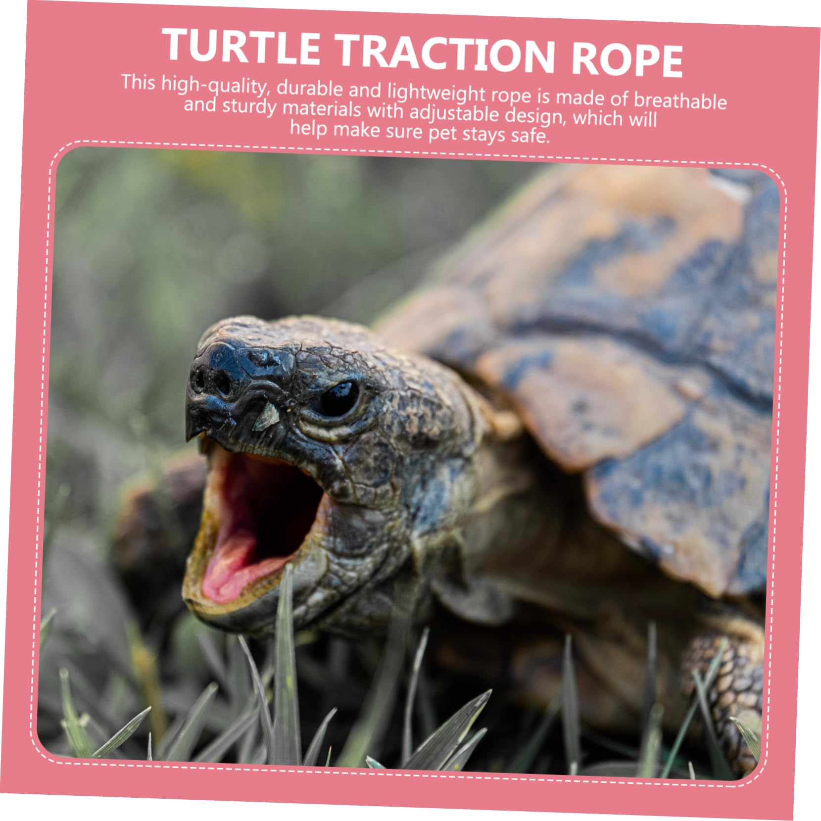 BESPORTBLE Harnais Tortue Rose Petite Laisse Traction Pet pour Tortue Sortie Léger Simple Et Pratique à Porter