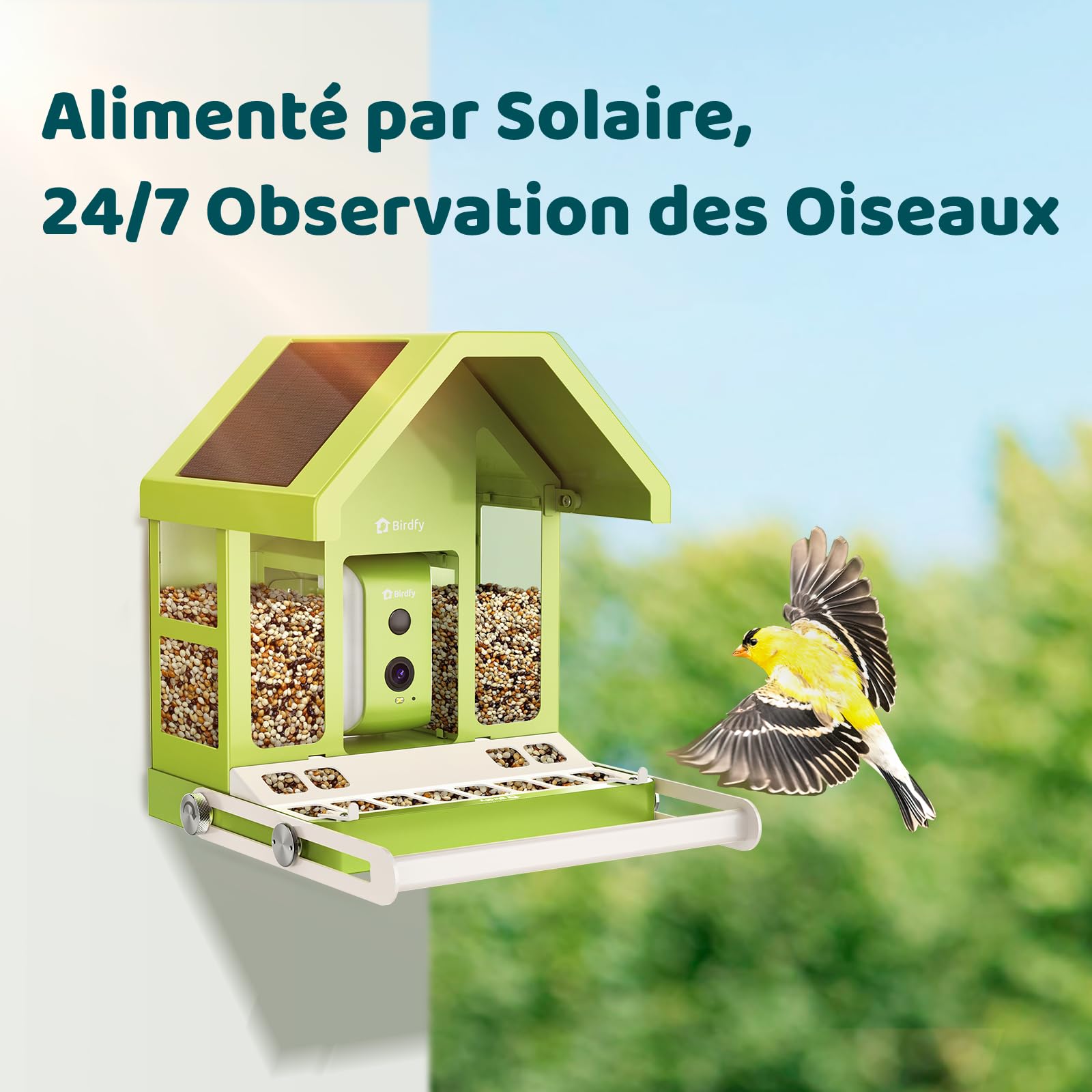Birdfy Métal Mangeoire Oiseaux Camera pour L’Observation direct, 1080P Solaire Mangeoire Oiseaux Exterieur sans Fil, Vision Nocturne en Couleur, Notification Instantanée, Enregistrement à Chaque Visit