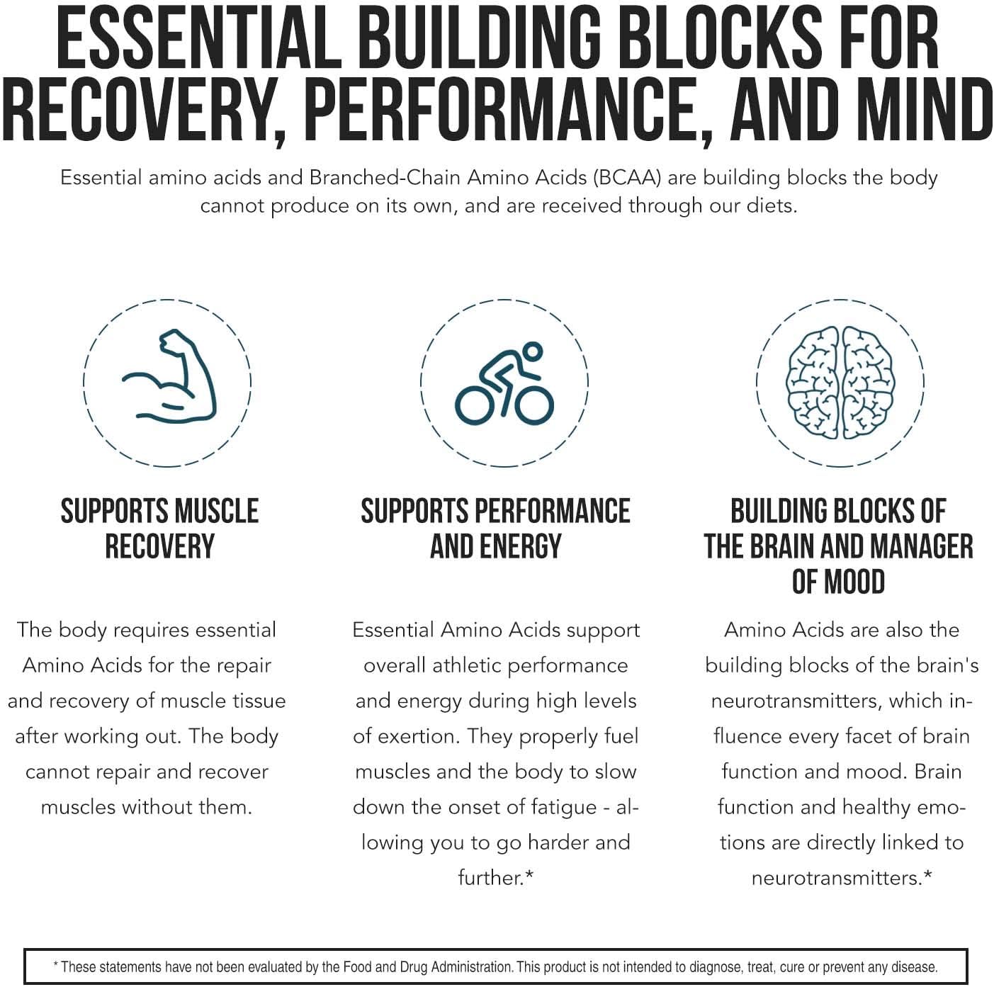Plant Aminos Organic Essential Amino Acids (EAAs) & BCAA - 100% Plant-Based Raw, Vegan - All 9 Essential Amino Acids with 18 Total Amino Acids (360 Tablets) : Health & Household