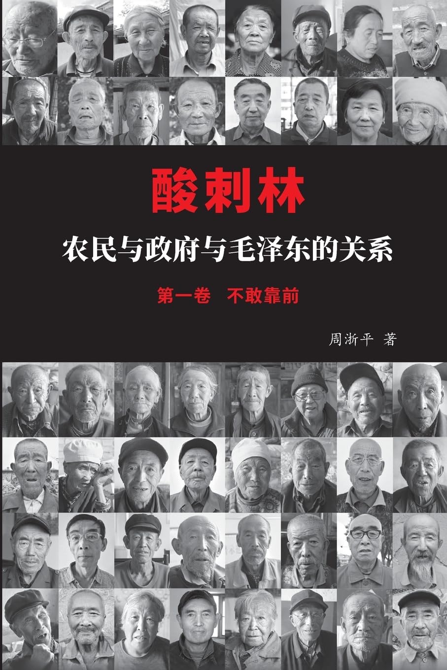 酸刺林:农民与政府与毛泽东的关系(一卷)