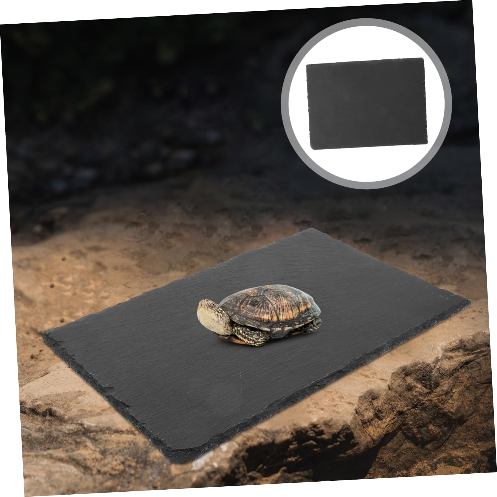 TOYANDONA Natürliche Schiefer als Dekoration Sonnenplattform mit Robustem Material für Reptilien und Schildkröten für Aquarium und Terrarium