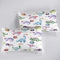 Vista 86 de CVHOUSE Juego de ropa de cama con diseño de panda, juego de edredón individual con panda y 2 fundas de almohada, lindo juego de colcha kawaii