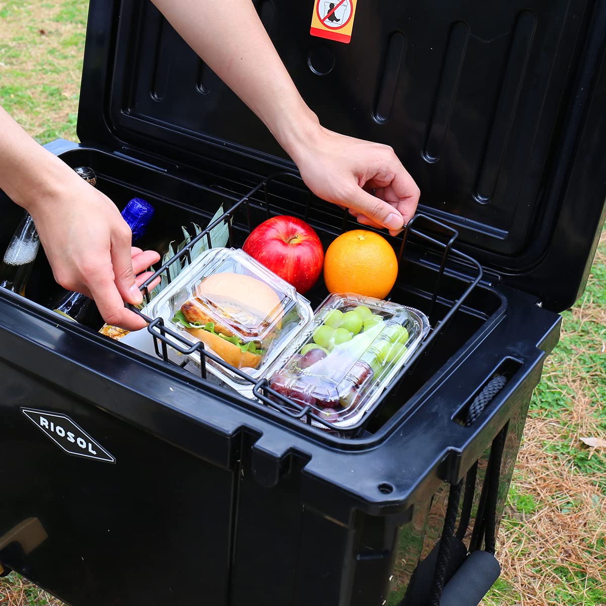Amazon | RIOSOL リオソル ARTICO アルティコ ハードクーラー 26QT 