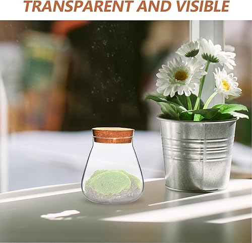 Miniatura 7 de HOMSFOU Estación de propagación de plantas, jarrón de vidrio de terrario con soporte de corcho transparente para plantas, tarros de flores, soporte