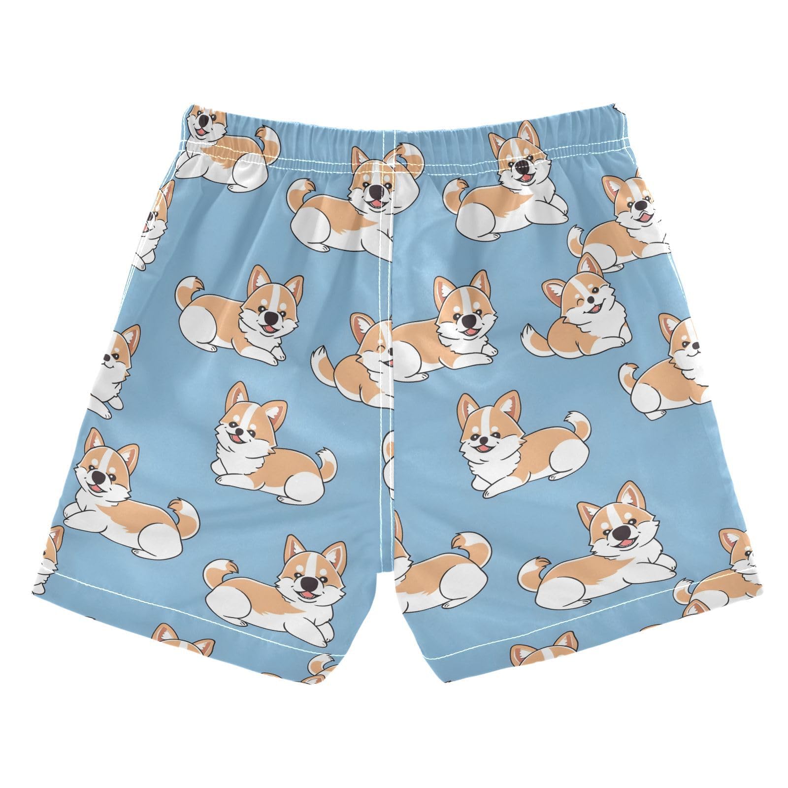 ALAZA Cute Puppy Animal Dog Pug Blue Boys Quick Dry Beach Board Shorts Kids Swim Trunks Bathing Suit Swimsuit 2T