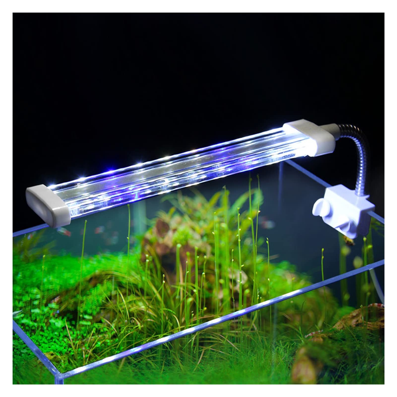 16 cm 23 cm 31 cm Acuario Cristal Iluminación LED Lámpara de Tanque de Peces LED Blancos y Azules Lámpara con Clip Impermeable Brazo Flexible (Color : ZY-10T)