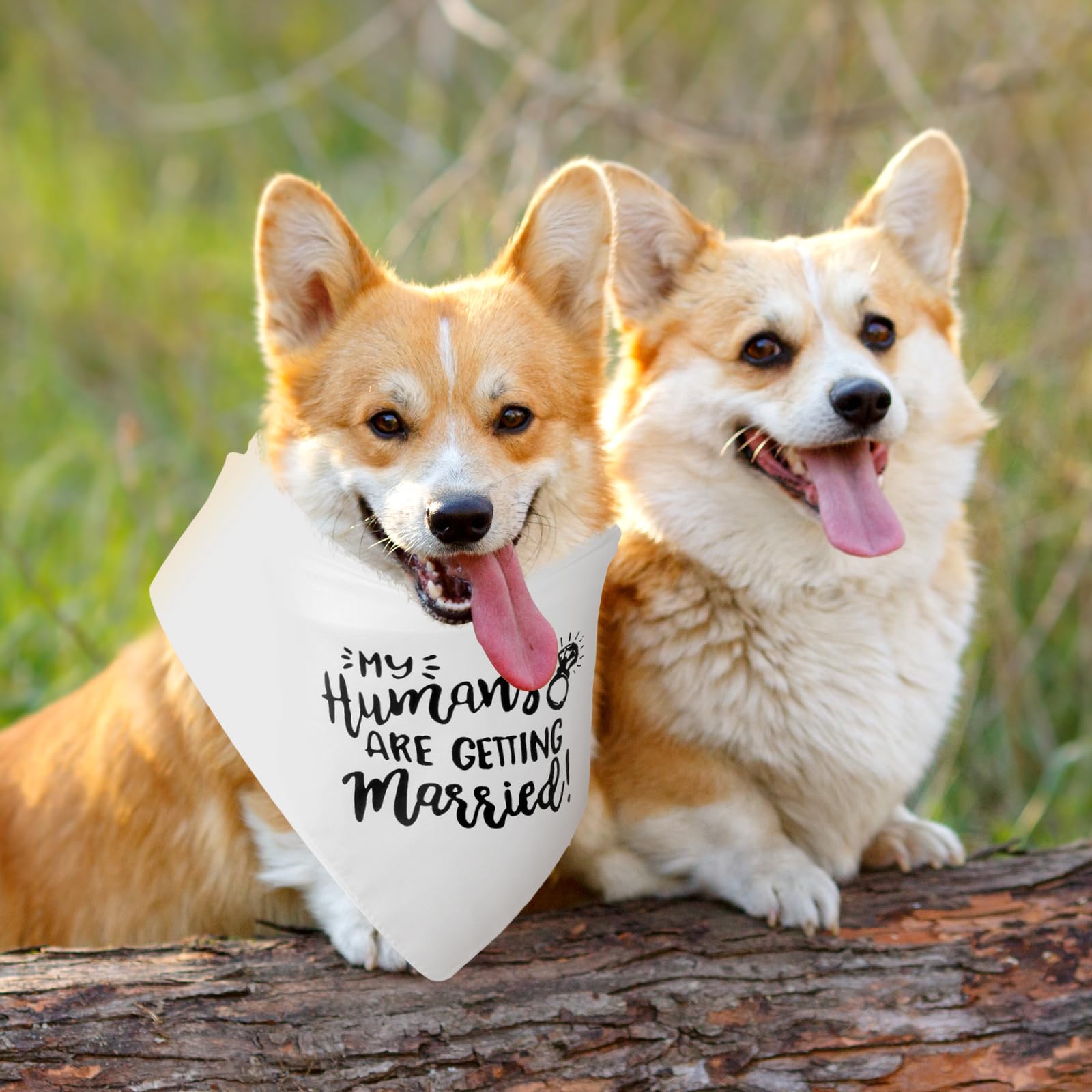 WLLHYF Regalo di fidanzamento Bandana per cani My Humans are Getting Married Sciarpa per animali domestici Annuncio di fidanzamento Bandana per cani Accessori per animali domestici per gli amanti dei