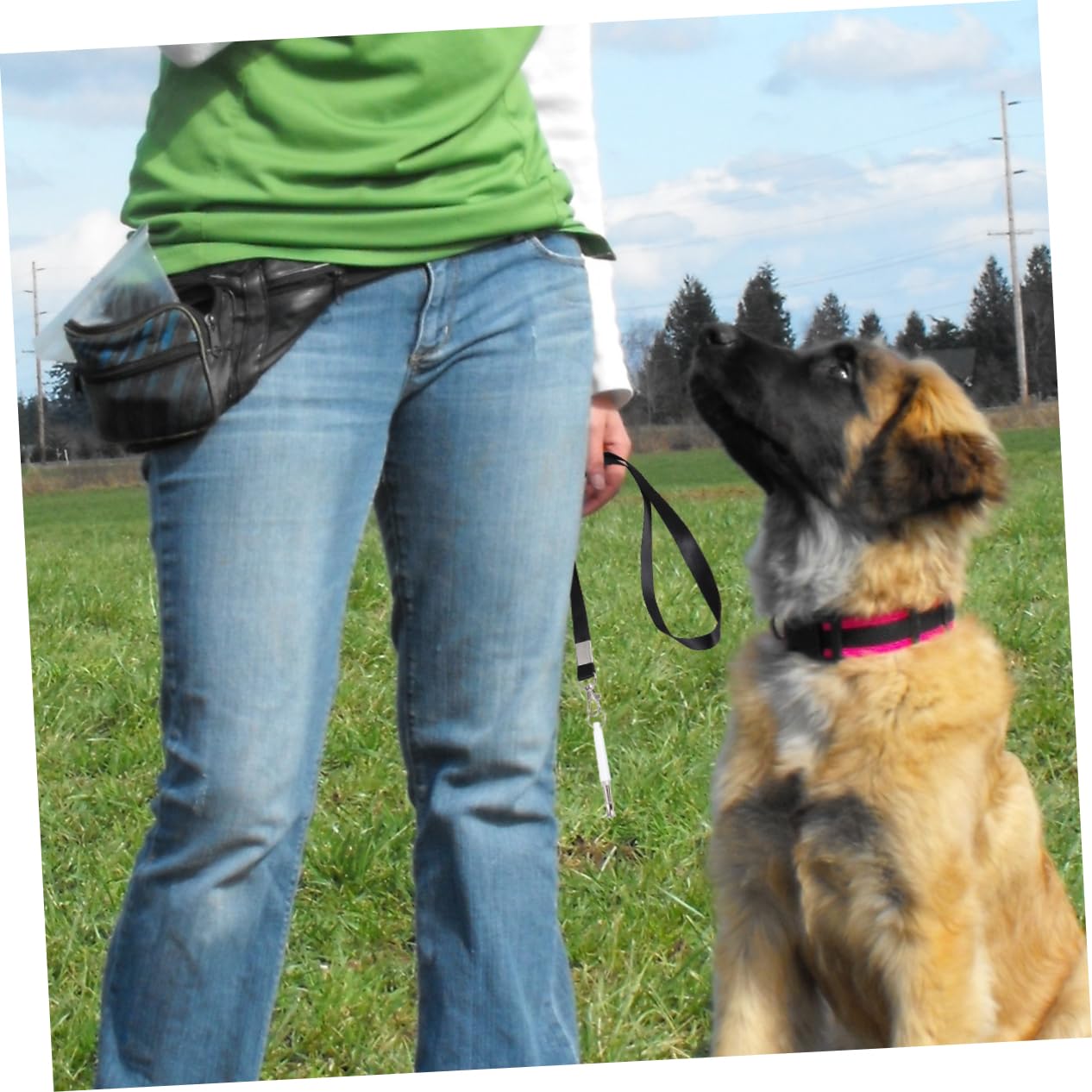 COLLBATH Portable Dog Whistle Training Device Stop Barking Whistle Lanyard for Hands- Use for Small to Large Dogs