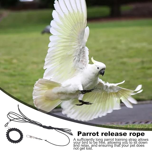 Foto 2 de 8 de Arnés para pájaros para cacatúa, cuerda voladora para pájaros al aire libre