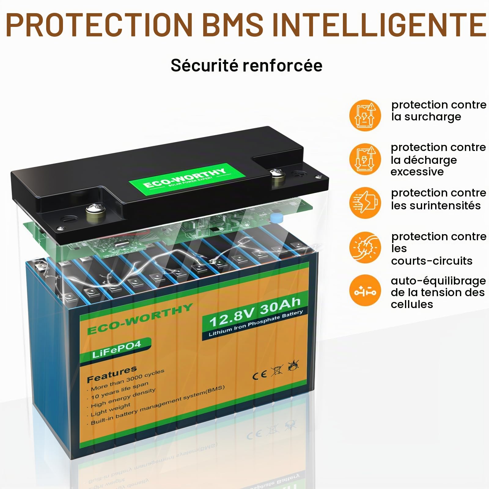 ECO-WORTHY Batterie LiFePO4 12 V 30 Ah