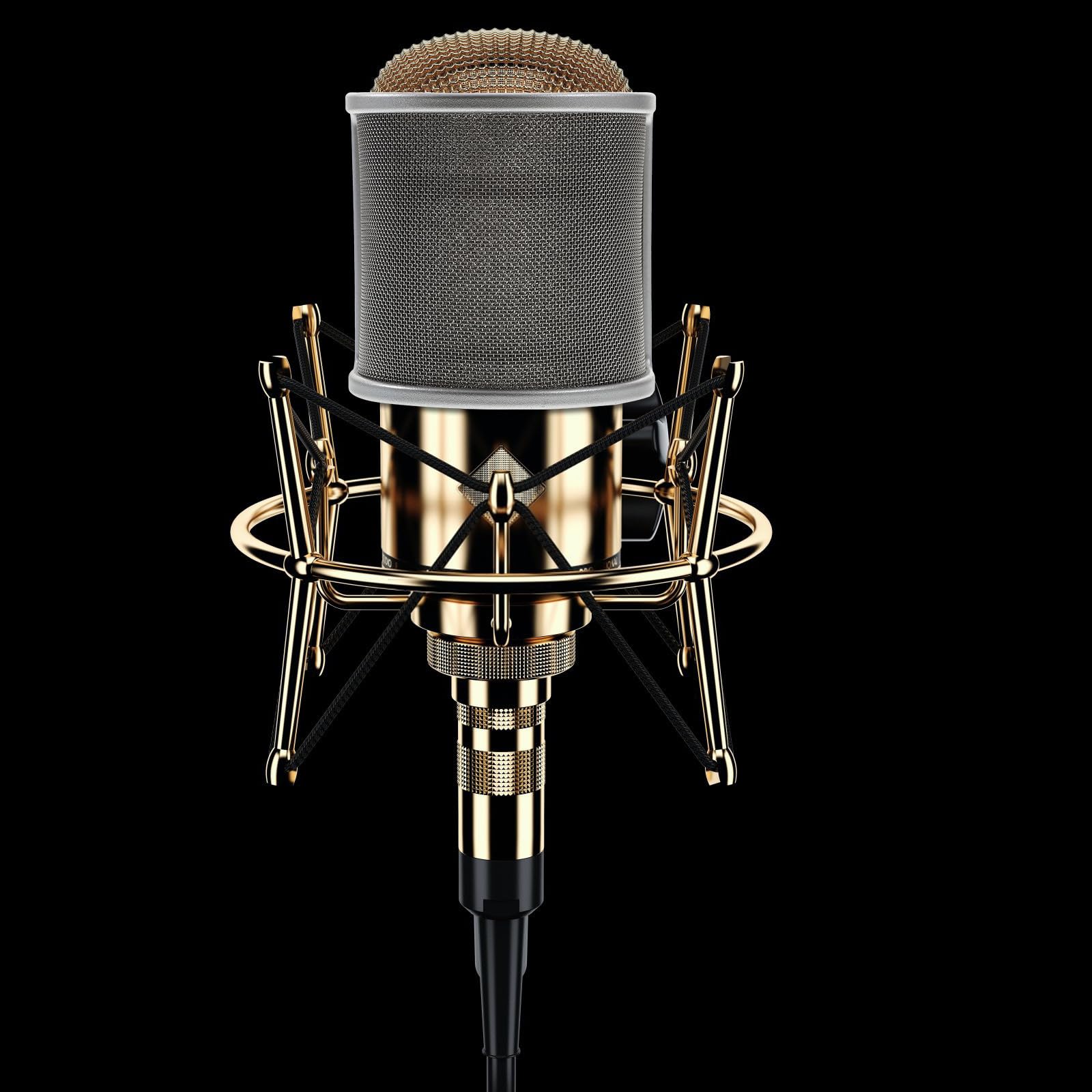 jojofuny 5pièces Filtre Anti- Microphone Réglable Accessoire Insonorisé Pour Enregistrements Vocaux Streaming Et Chant