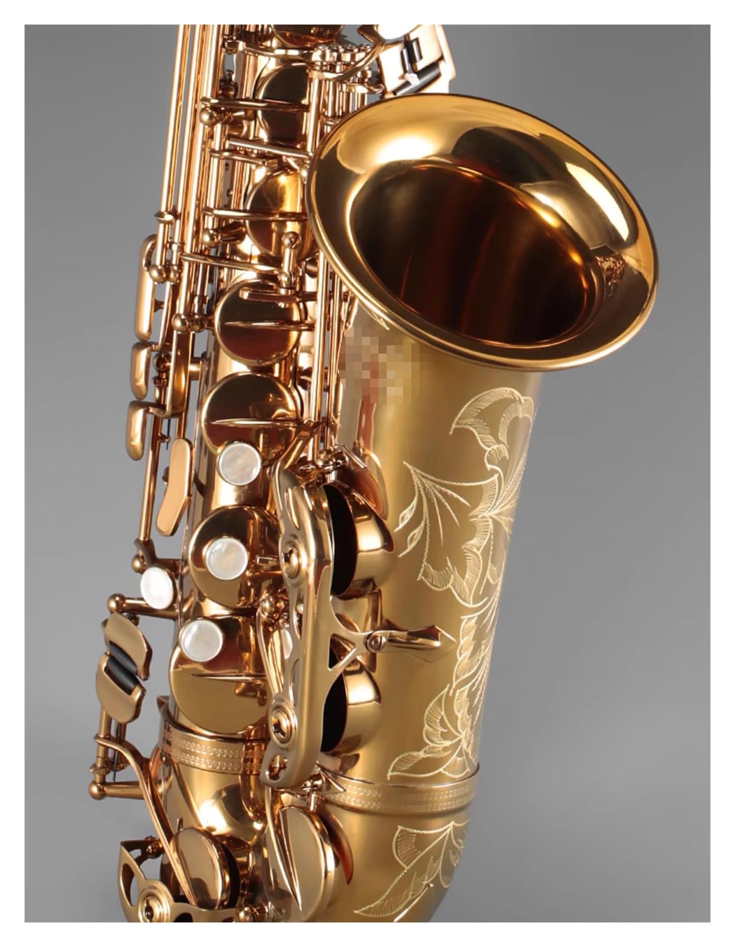 Amazon.co.jp: プロサックス 初心者が専門的にサクソフォン楽器を演奏