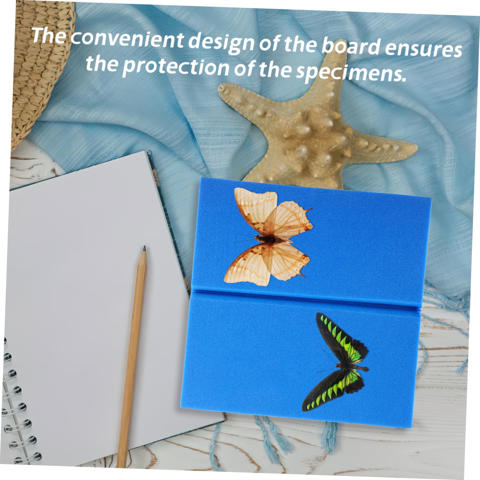 GLEAVI Lightweight Butterfly Specimen Display Insect Pinning Board Entomology Kit Insect Specimen Display Board