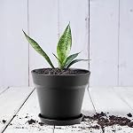 16Pcs Plastic Plant Pots with Drainage Holes & Tray 4in Indoor Flowers Pots | Thickened Planters Seedlings Nursery Pots for Flowers, African Violet, Succulent and All House Plants, Green