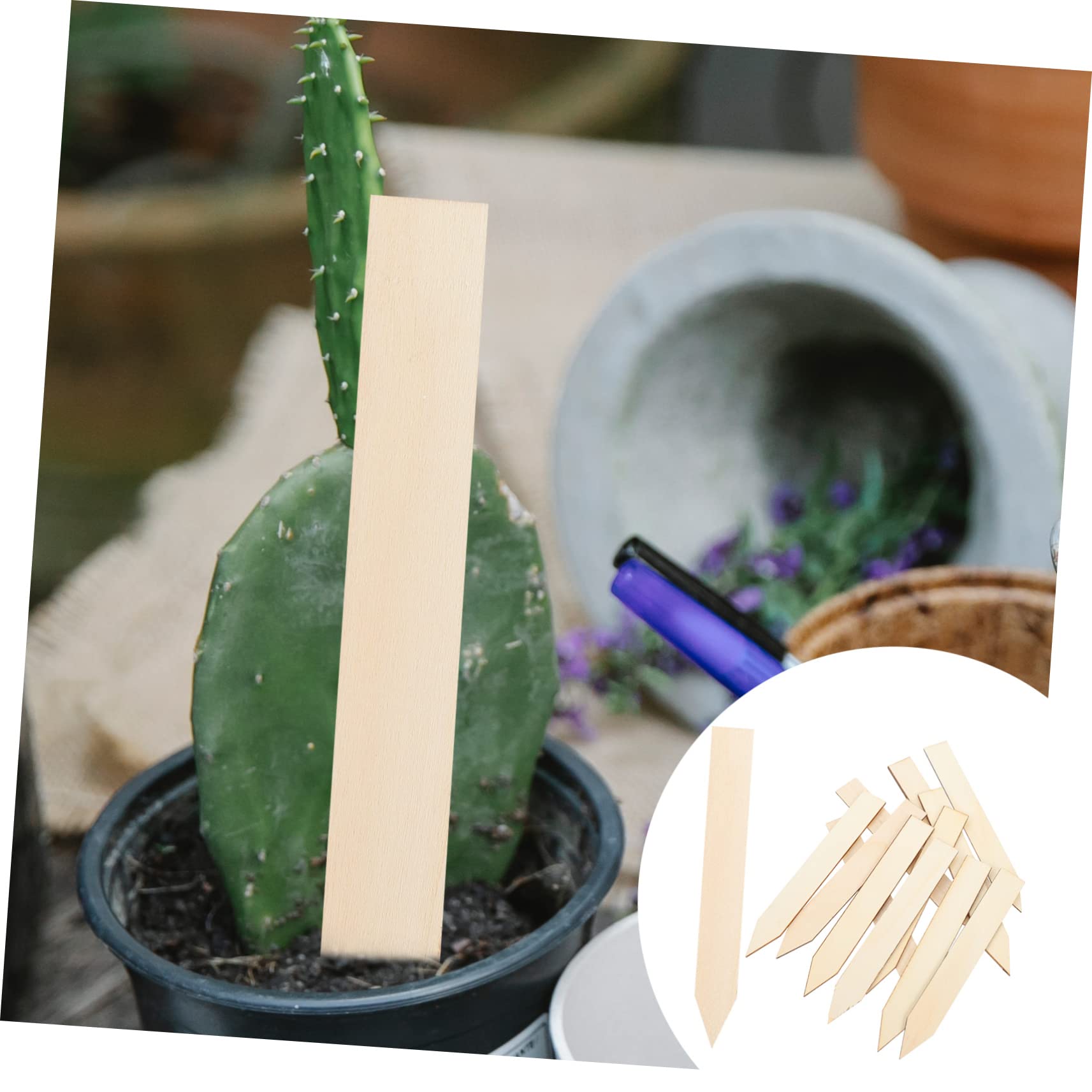 Yardwe Lot De 50 Étiquettes En Bois Réutilisables Pour Plantes Et Jardins Extérieurs
