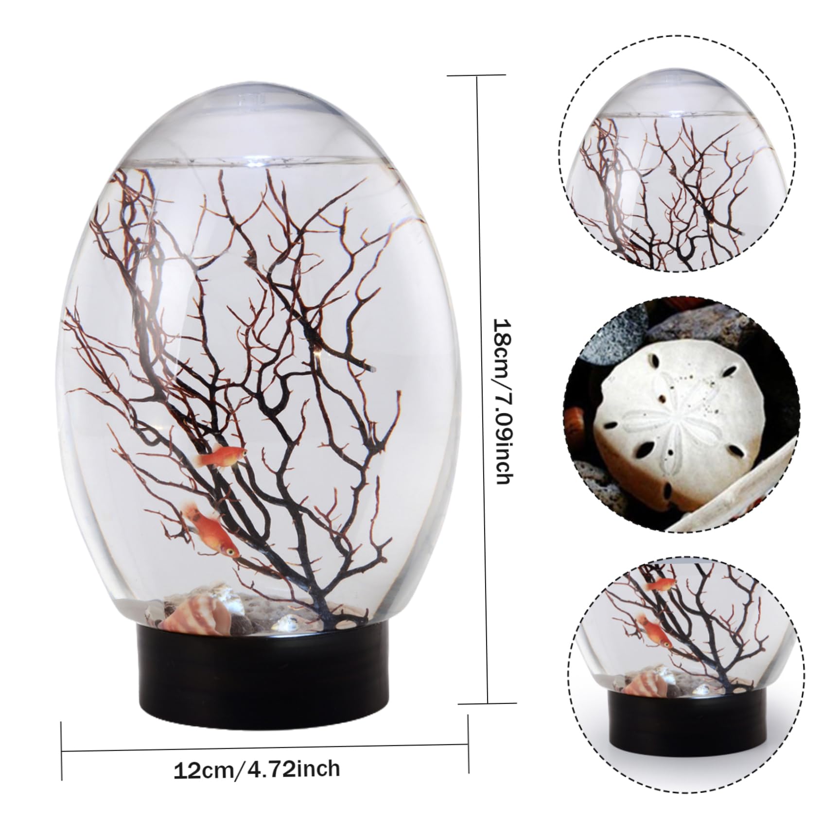 Mini Aquarium, Petit Aquarium de Bureau avec lumière LED, écosystème Autonome, Pas Besoin de Nourrir ou Changer l'eau, écosystème Aquatique fermé pour la Maison, Le Bureau, l'écosphère cre