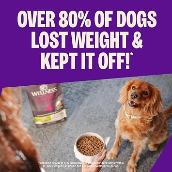 Wellness CORE Healthy Weight Small Breed Adult Dry Dog Food, Grain Free Kibble, Natural, High Protein, Turkey and Chicken Recipe, 12 lb Bag