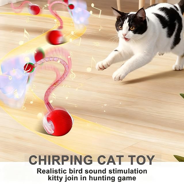 Foto 4 de 7 de AURIVEE Bola Interactiva para Gatos Automática,Bola Móvil con Cola y Sonidos de Pájaros, 3 Modos Juego