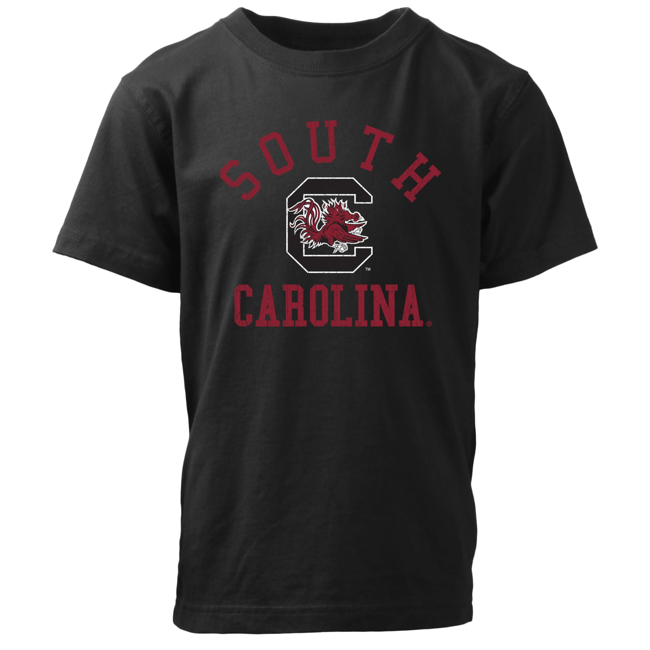 Wes and Willy NCAA Kids S/S Organic Cotton Tee Shirt, North Carolina Tar Heels, L, NC Blue — view 119