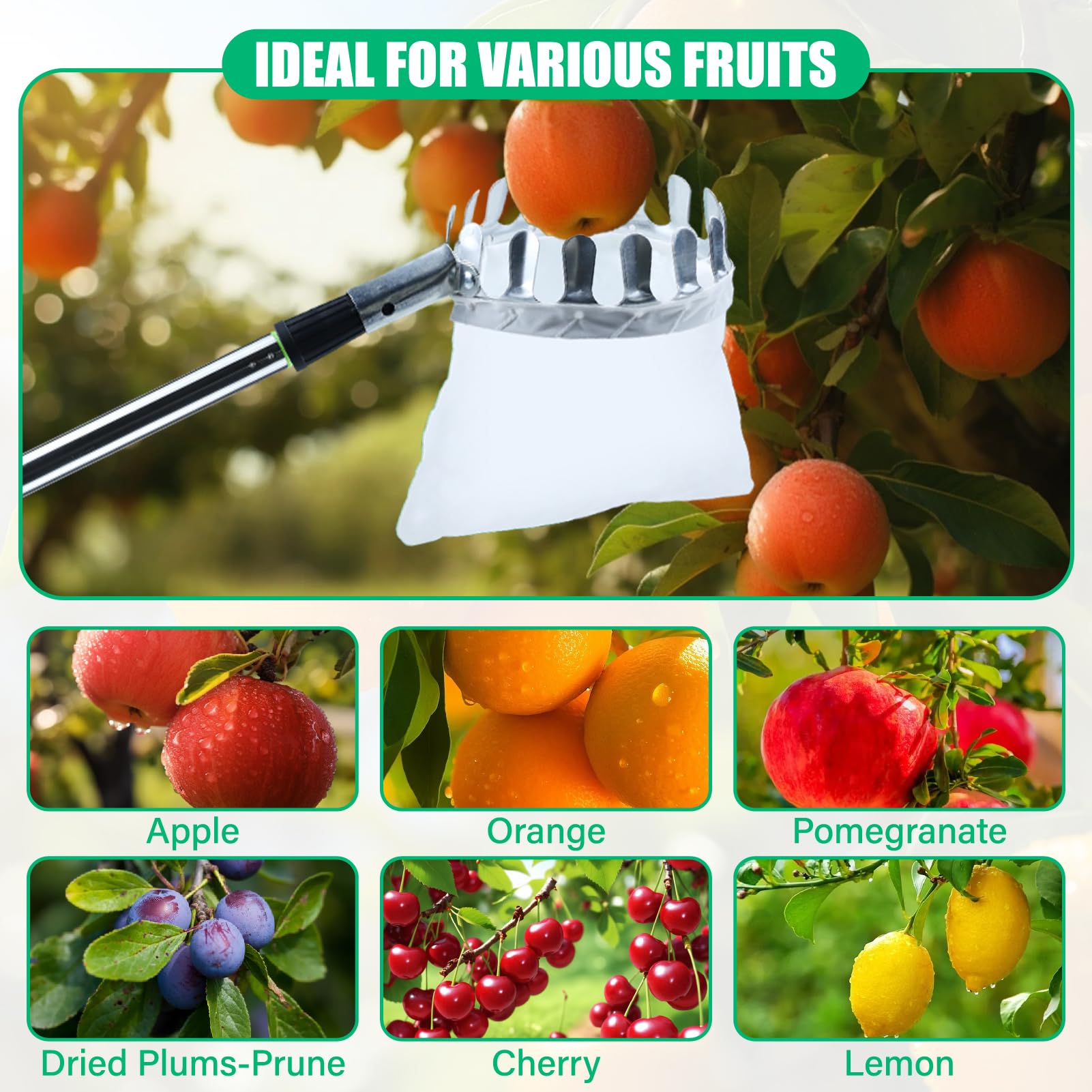 Recogedor Frutas Telescopico, 3.9M Recogedor de Frutas con Varillas de Extensión, Recoge Frutas de árboles con Bolsa de Algodón, Frutas Herramientas Recolectoras para Manzanas, Naranjas, Peras
