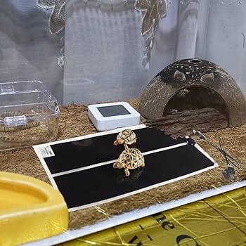 REPTILE HEAT M20W 2個　　XS6W 1個 Amazon.com : 2 Pack 20W Reptile Heating Pad Tank Warmer with